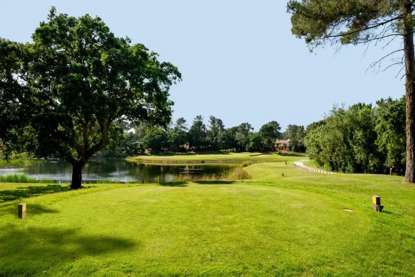 Why golf in South Lisbon